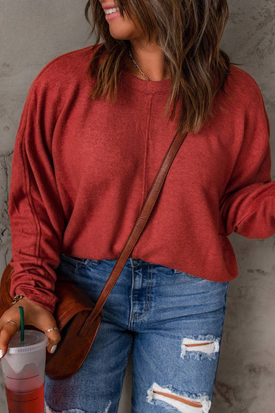 Casual Basic Blank Solid Long Sleeve Top