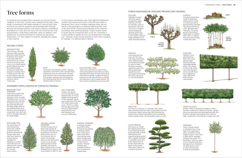 Pruning Training 4e