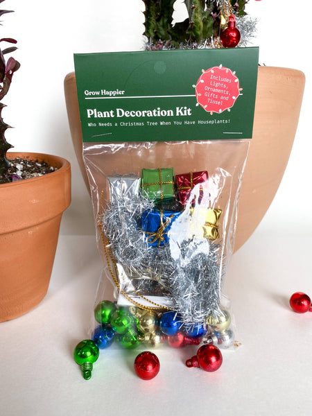 The Plant Supply - House Plant Christmas Tree Decoration Kit: Box Style Packaging