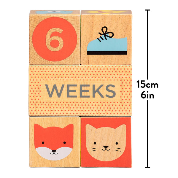Wooden Baby Milestone Blocks