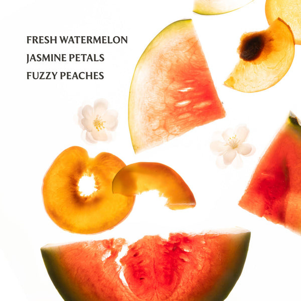 Touchland - Power Mist Hydrating Hand Sanitizer