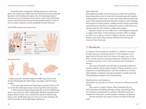 Hand Reflexology & Acupressure