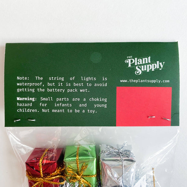 The Plant Supply - House Plant Christmas Tree Decoration Kit: Box Style Packaging