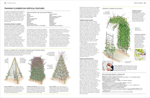 Pruning Training 4e