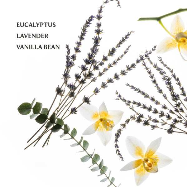 Touchland - Power Mist Hydrating Hand Sanitizer