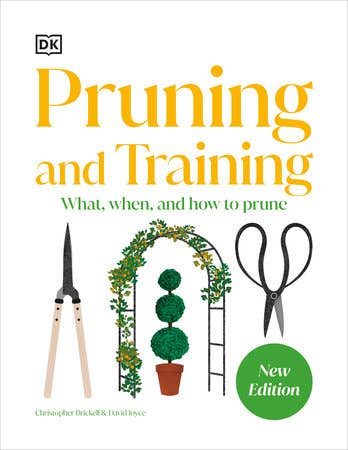 Pruning Training 4e