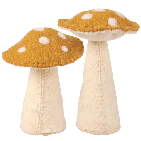 Toadstool Mushrooms Critters
