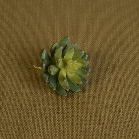 HomArt - Faux Succulent - Lrg - Green