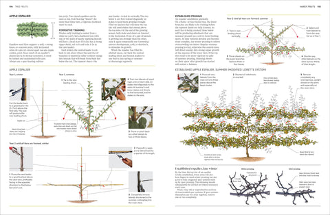 Pruning Training 4e