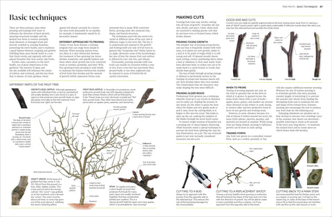 Pruning Training 4e