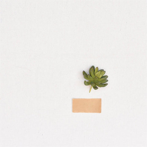 HomArt - Faux Succulent - Lrg - Green