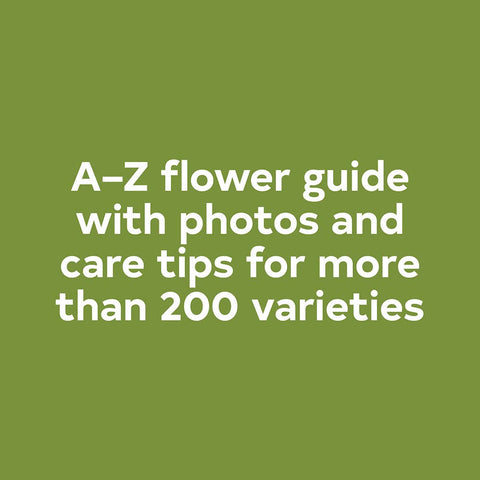 Floret Farm's A Year in Flowers