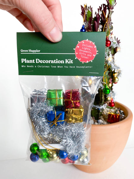 The Plant Supply - House Plant Christmas Tree Decoration Kit: Box Style Packaging