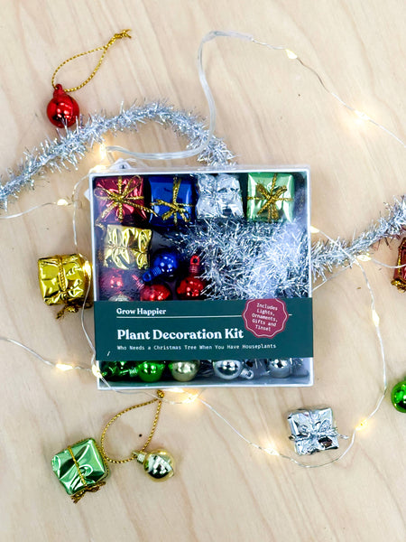 The Plant Supply - House Plant Christmas Tree Decoration Kit: Box Style Packaging