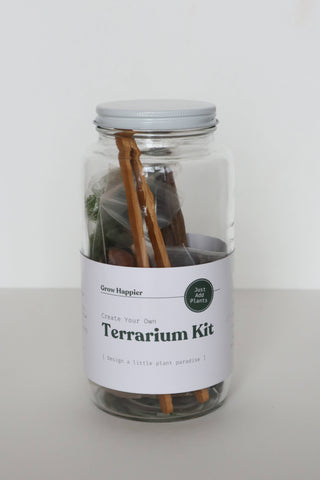 The Plant Supply - DIY Terrarium | Glass Plant Terrarium Kit