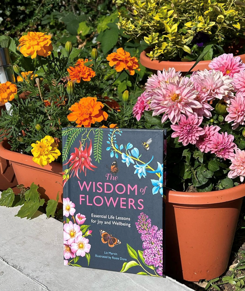 Wisdom of Flowers