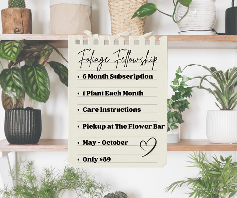 Foliage Fellowship - Monthly Plant Subscription