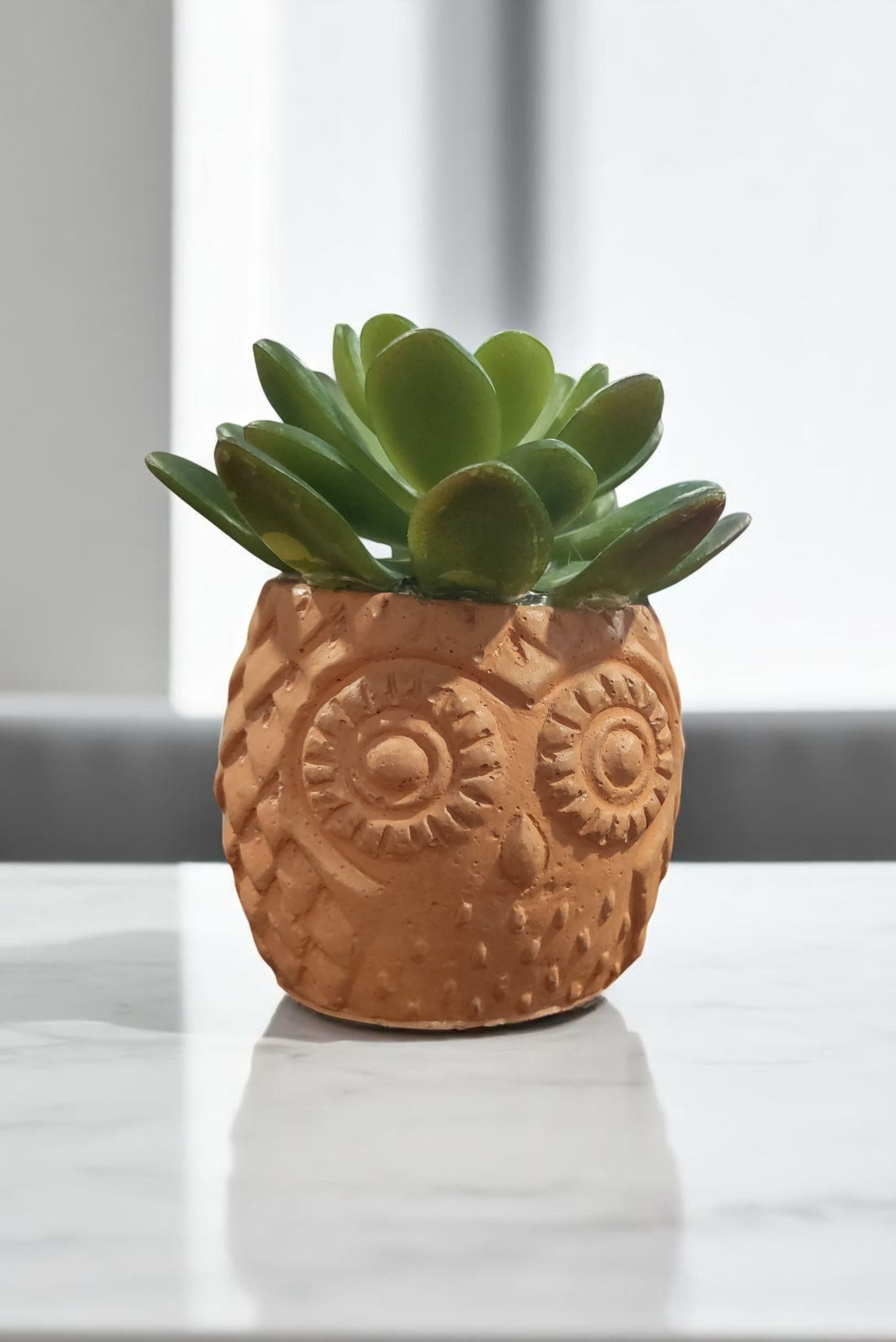Terra Cotta Owl with Succulent