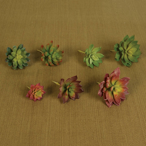 HomArt - Faux Succulent - Lrg - Green