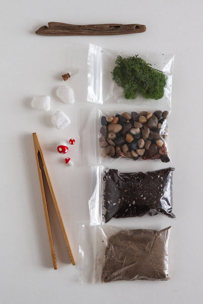 The Plant Supply - DIY Terrarium | Glass Plant Terrarium Kit