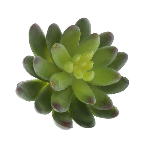 HomArt - Faux Succulent - Lrg - Green