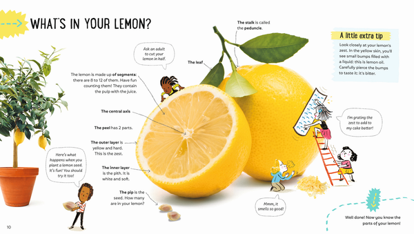 There's Science in Lemons