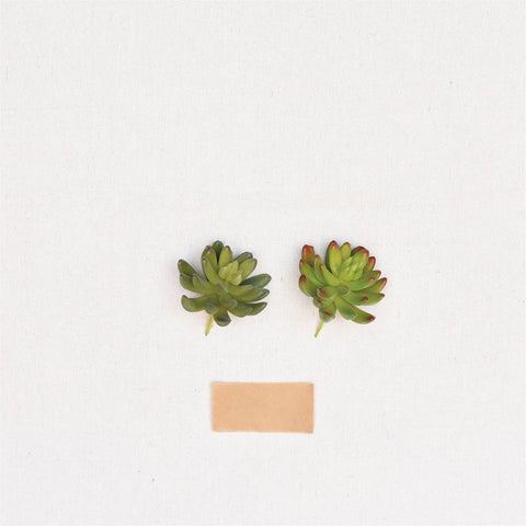 HomArt - Faux Succulent - Lrg - Green
