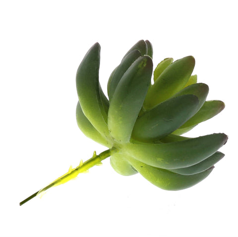 HomArt - Faux Succulent - Lrg - Green