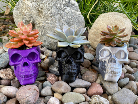 NumanPrints - Skull Planter Pot Indoor Outdoor succulent Plant 3D Printed: Bone White / Large