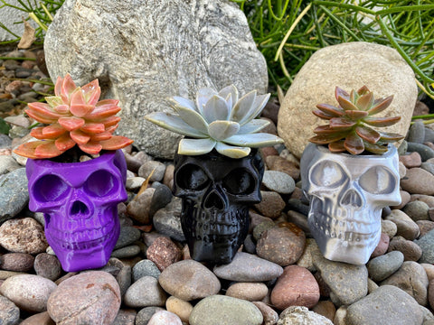 NumanPrints - Skull Planter Pot Indoor Outdoor succulent Plant 3D Printed: Bone White / Large