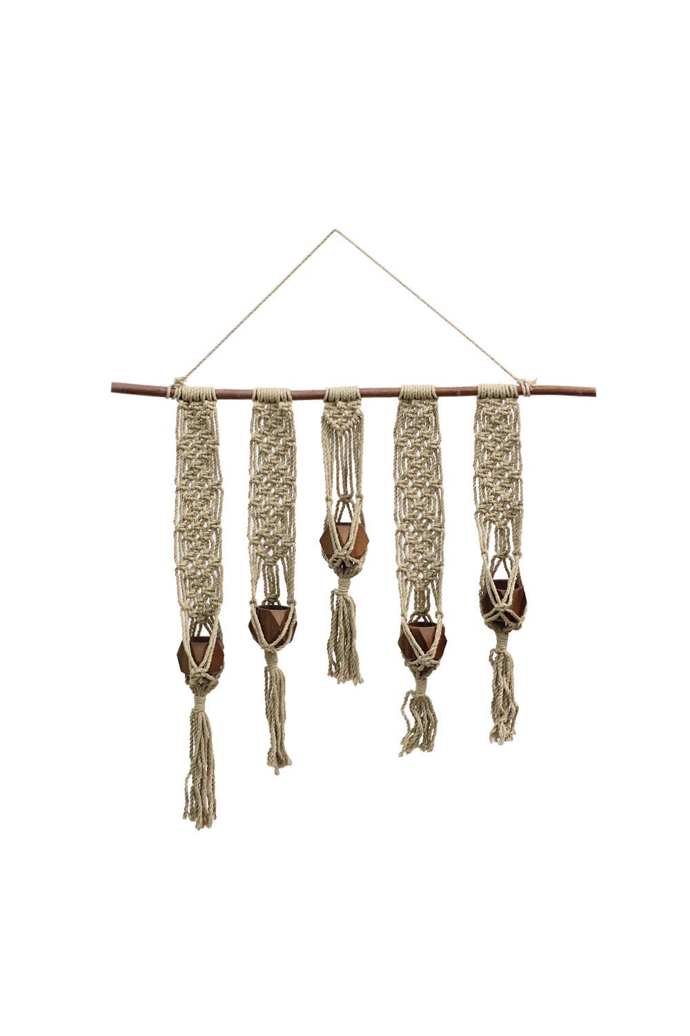 Soul of the Party - Macrame Plant Hanger Wall