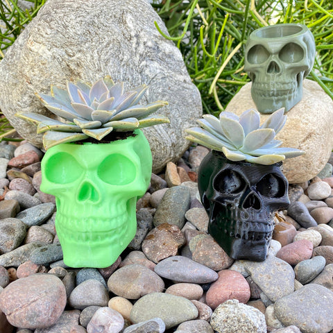 NumanPrints - Skull Planter Pot Indoor Outdoor succulent Plant 3D Printed: Bone White / Large