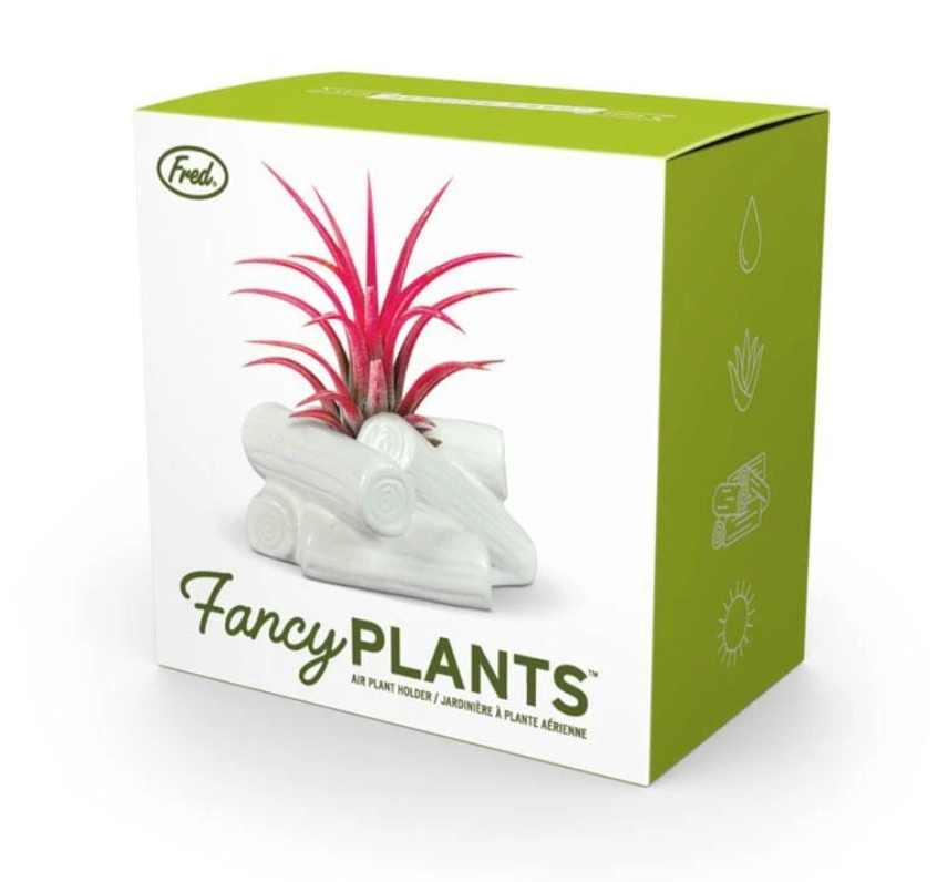Fancy Plants Campfire