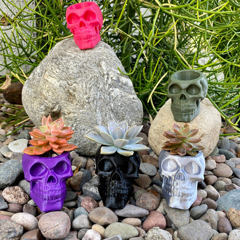 NumanPrints - Skull Planter Pot Indoor Outdoor succulent Plant 3D Printed: Black / Large