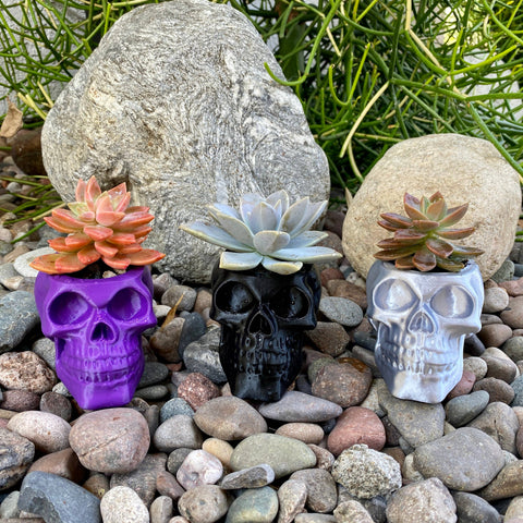 NumanPrints - Skull Planter Pot Indoor Outdoor succulent Plant 3D Printed: Black / Large