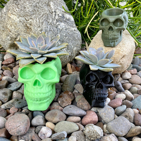 NumanPrints - Skull Planter Pot Indoor Outdoor succulent Plant 3D Printed: Black / Large