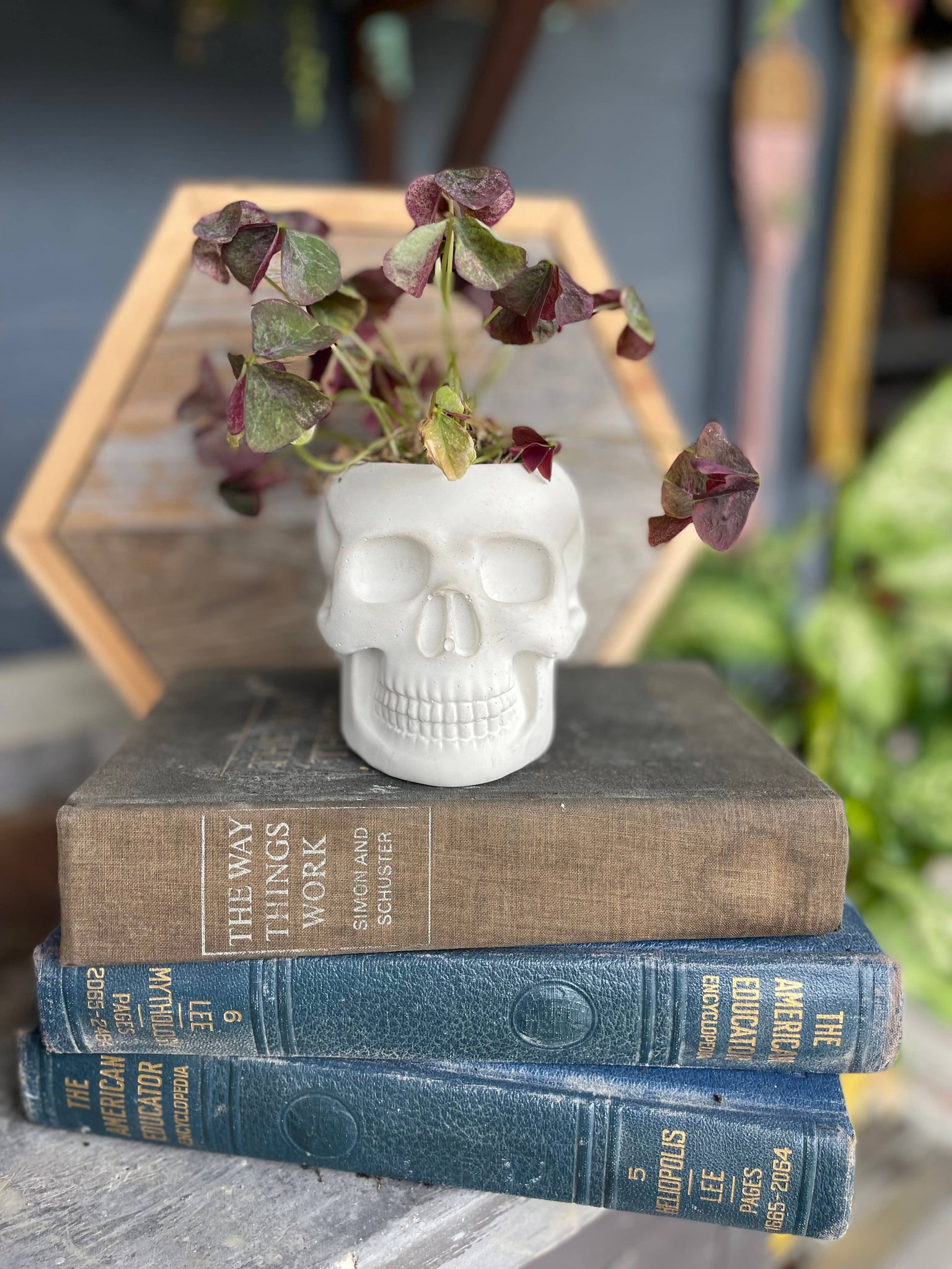 Good Girl Market - Everyday Skull Planter, Concrete