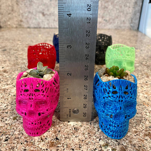 NumanPrints - 3D Printed Succulent Skull Planter Pot Small Indoor: Gold / 5 Inch Skull