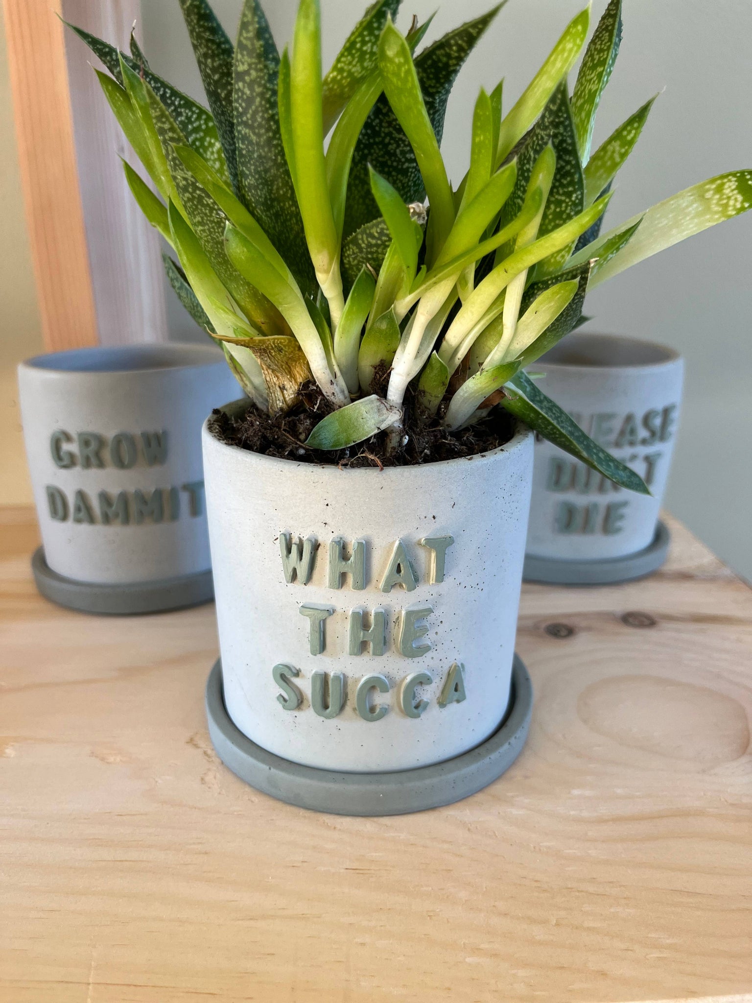 Nora - Funny Succulent Pots