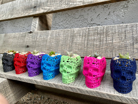 NumanPrints - 3D Printed Succulent Skull Planter Pot Small Indoor: Pink / 5 Inch Skull